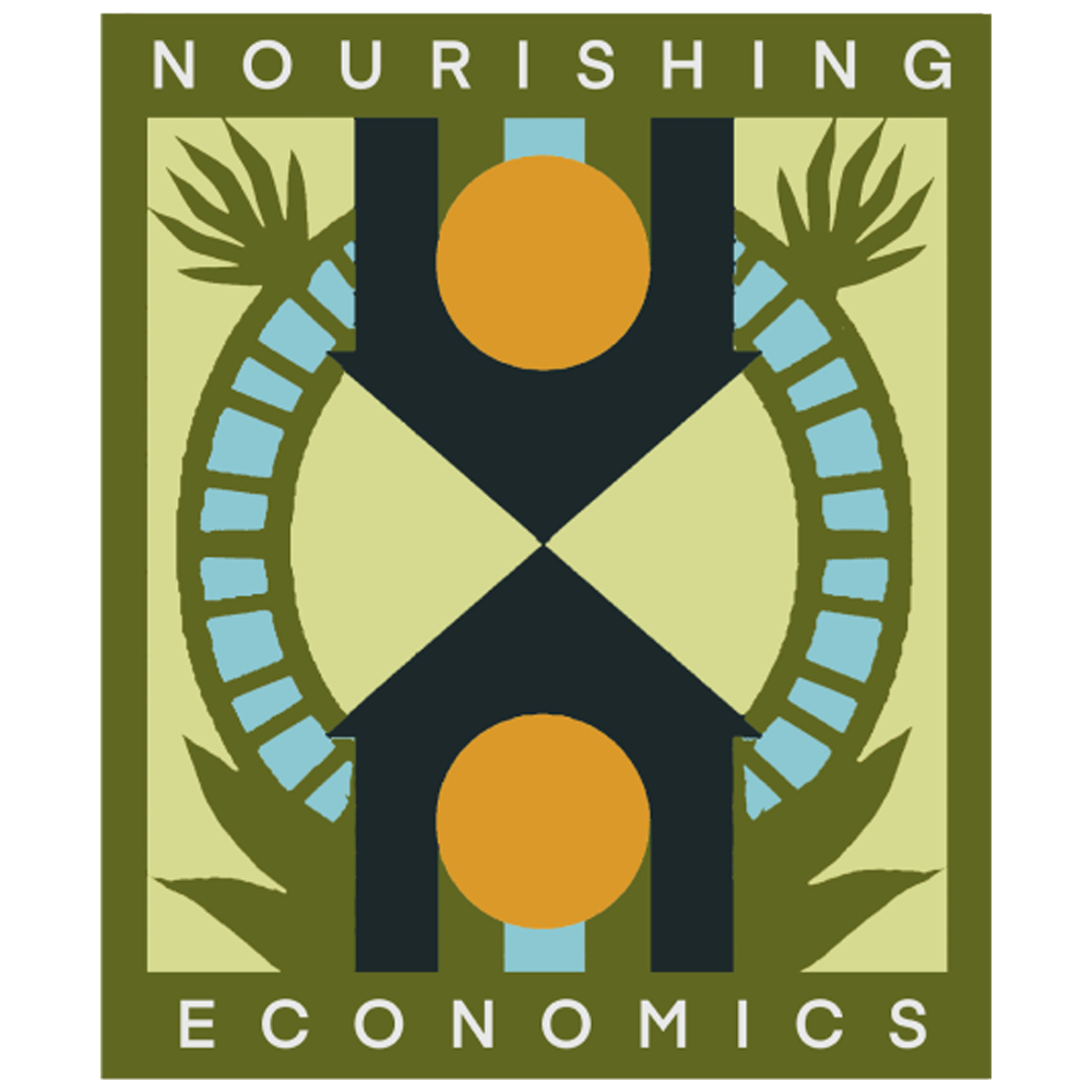 Decolonising Economics logo